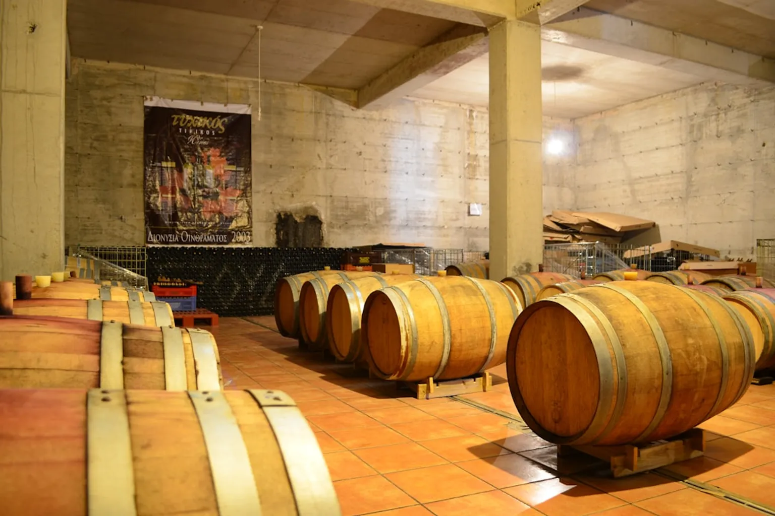 Billets Caves Codorníu : critères et options pour bien choisir sa visite