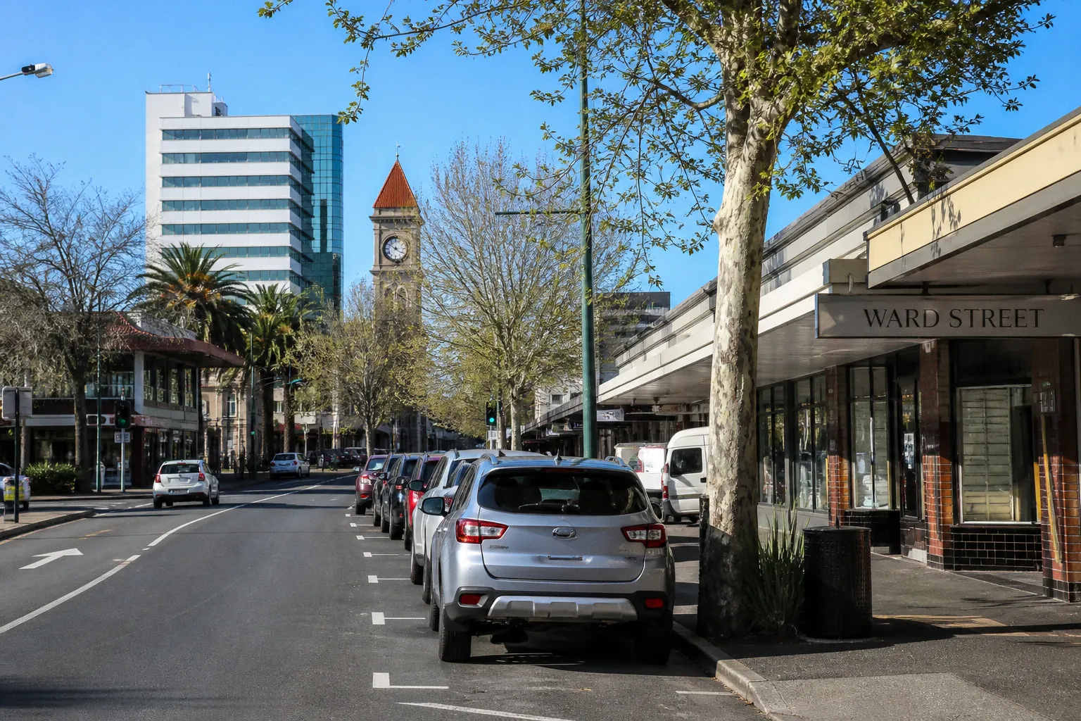 Location de voiture à Hamilton (Nouvelle-Zélande) : le guide pratique