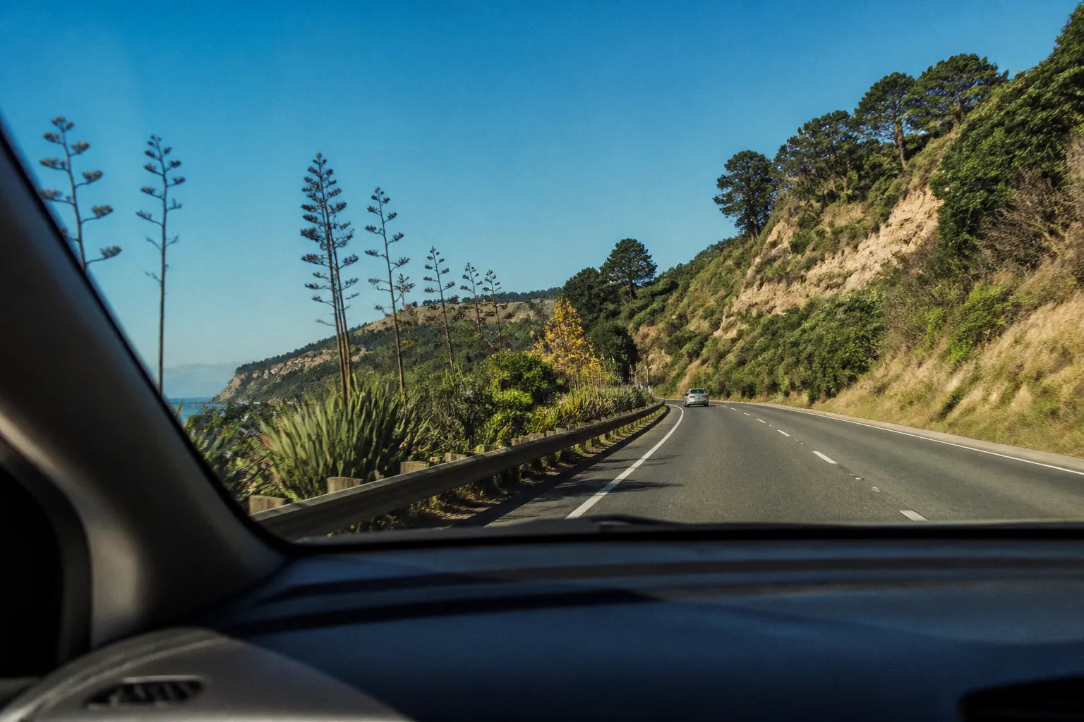 Location de voiture à Napier (Nouvelle-Zélande) : guide pratique