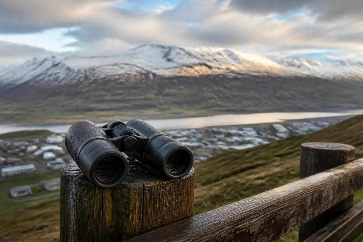 Observation de la faune à Akureyri : prix et checklist