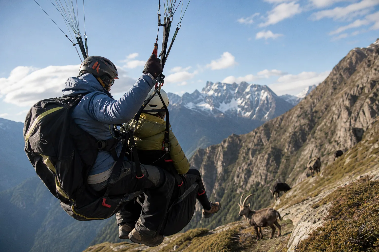 Parapente dans les Écrins : comment les moniteurs intègrent la protection de la faune