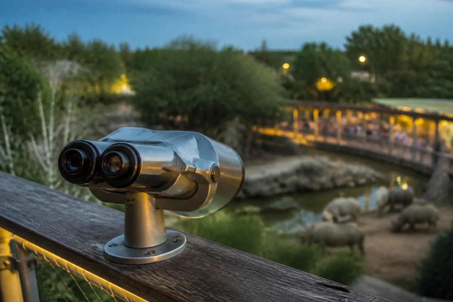 Horaires du Parc zoologique de Paris : planifier sa visite