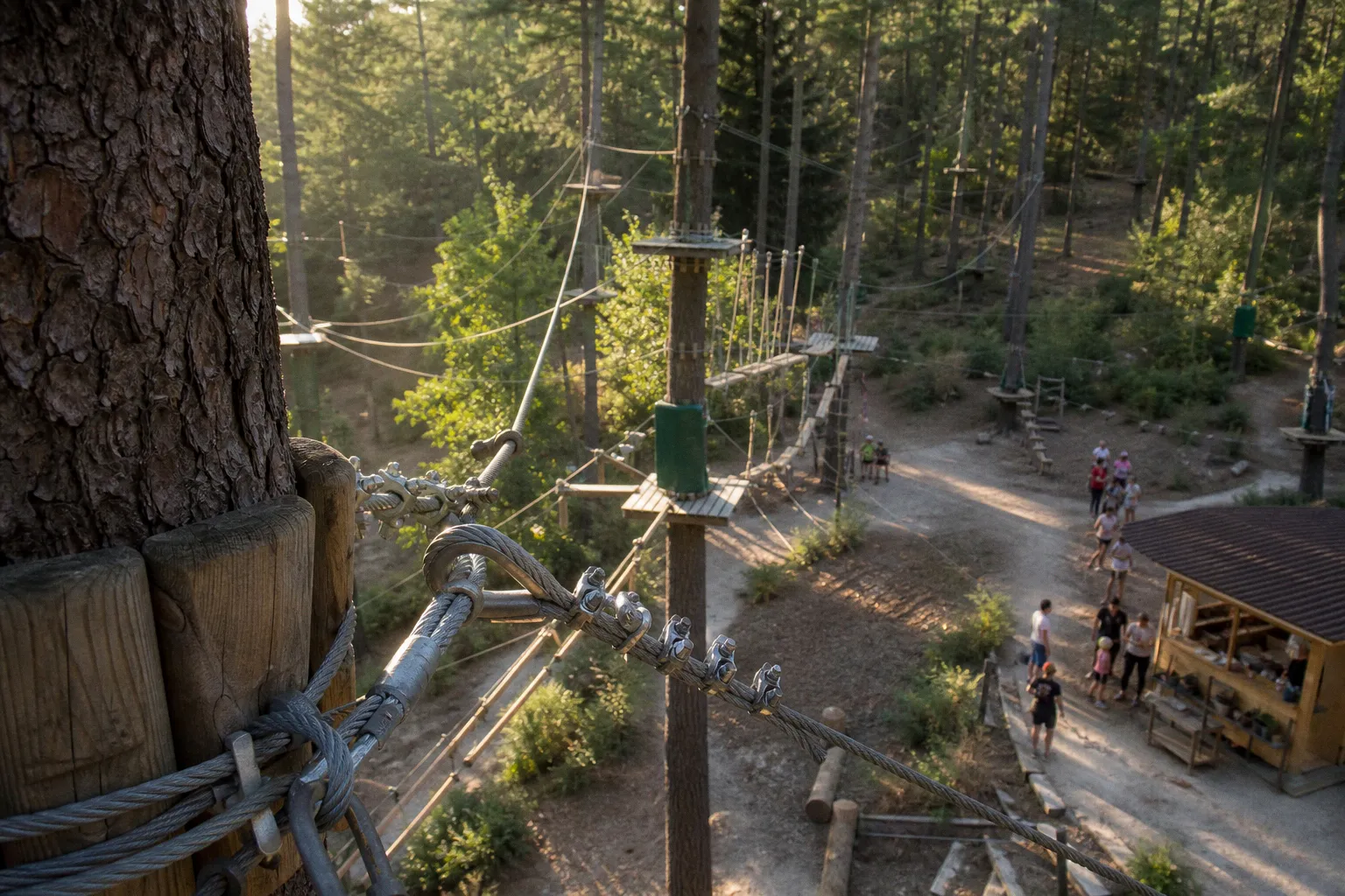 Billets Treetops Adventure Coffs Harbour : comment bien choisir