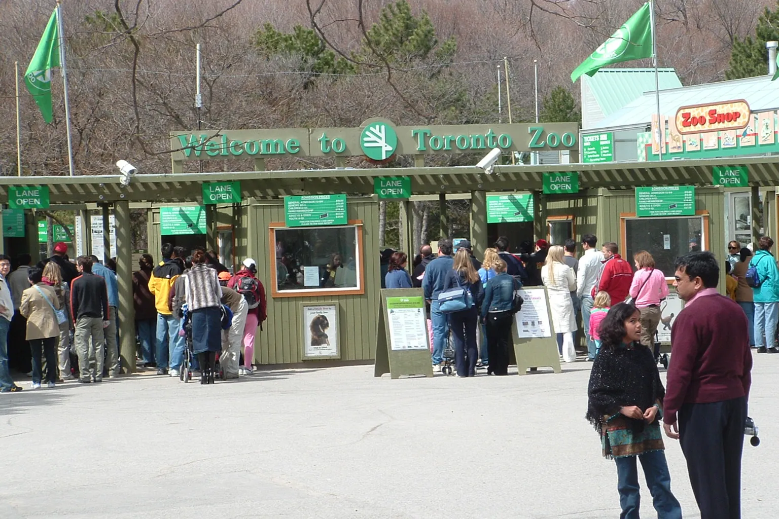 Zoo de Toronto : étapes pour acheter vos billets en toute sérénité